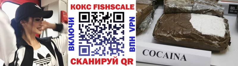 Cocaine FishScale  наркота  Омутнинск 